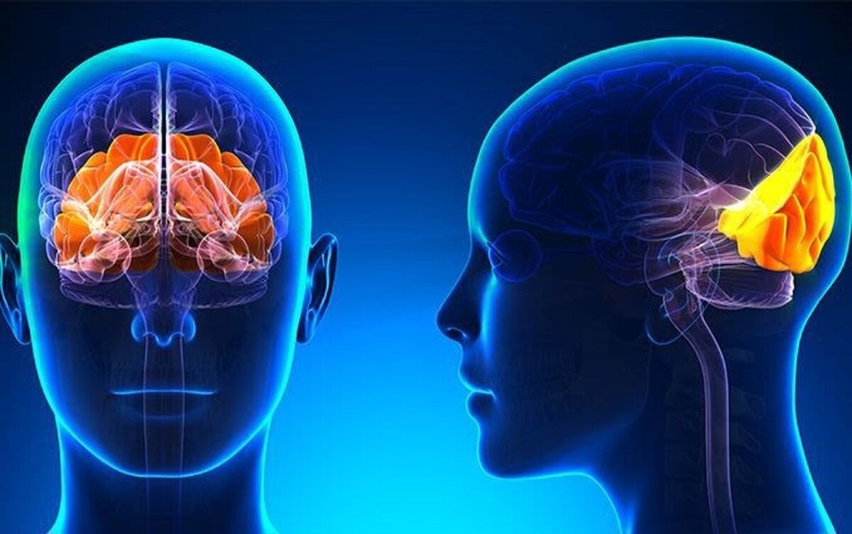 وعده بزرگ ایلان ماسک برای بازگرداندن بینایی نابینایان تا سال ۲۰۲۶